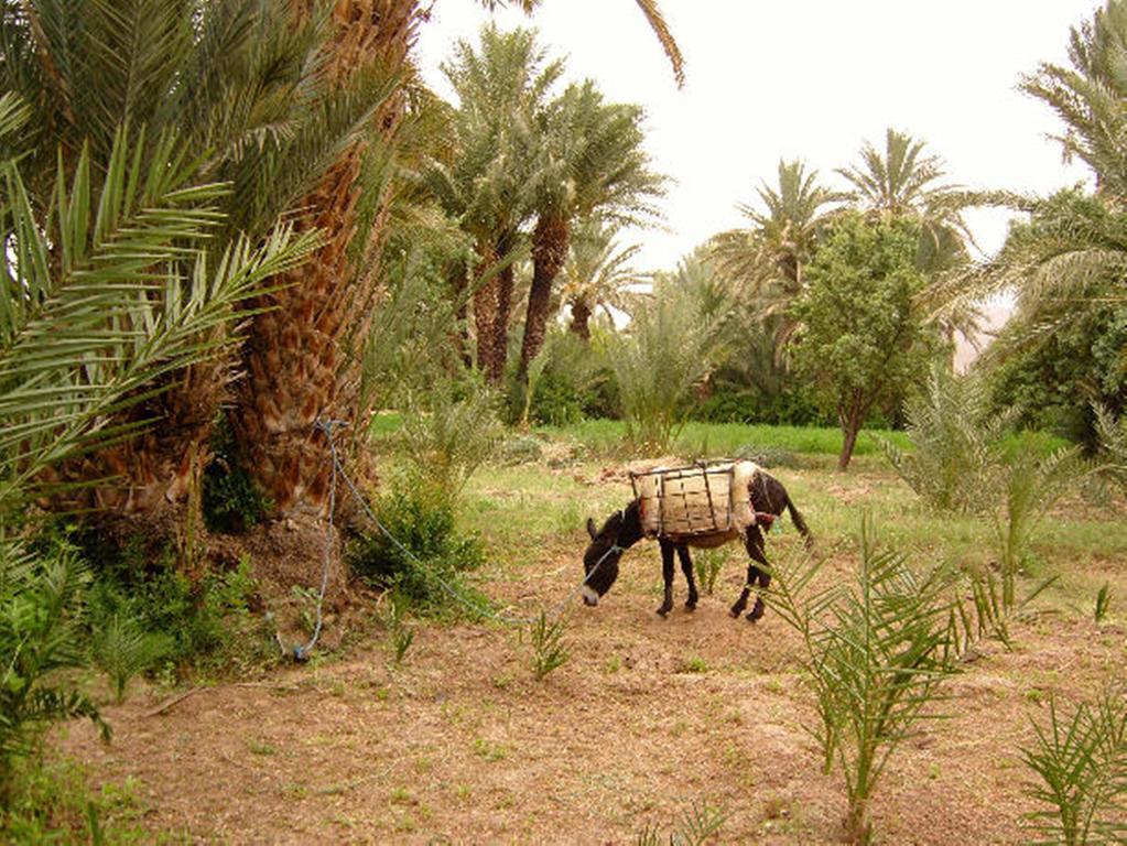 Kasbah Itrane Bed & Breakfast Tamnougalt Exterior photo